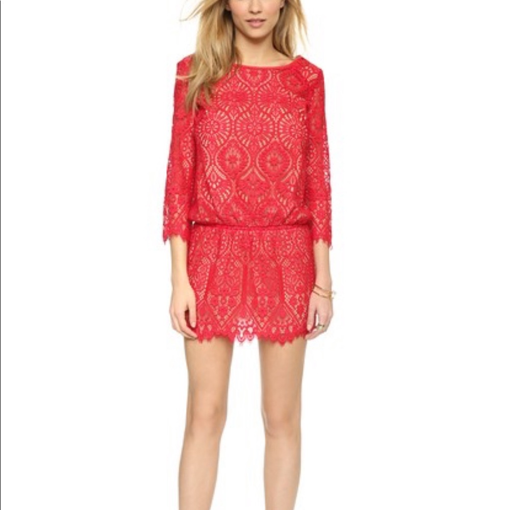 Revolve David Lerner 3/4 sleeve lace mini dress